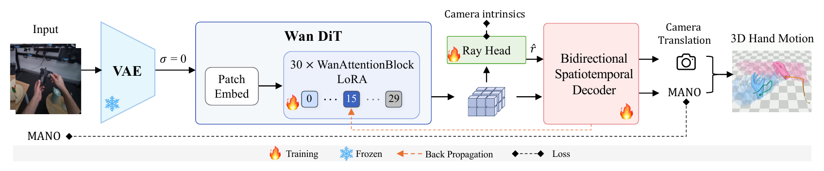 DreamHand pipeline from the VAE and Wan DiT through the Ray Head and Bidirectional Decoder to 3D hand motion